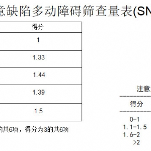 TD-CEC1000SNAP-IV兒童體檢系統(tǒng)V1.0注意缺陷多動(dòng)障礙評定量表SNAP-IV軟件系統(tǒng)